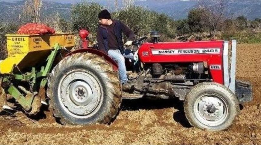 &Ouml;demiş&rsquo;te &lsquo;g&uuml;z Patatesi&rsquo; Ekimi Başladı