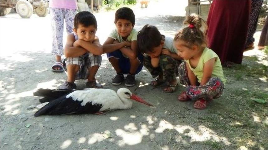 Kanadı Kırık Leyleğe &Ccedil;ocuklar Sahip &Ccedil;ıktı