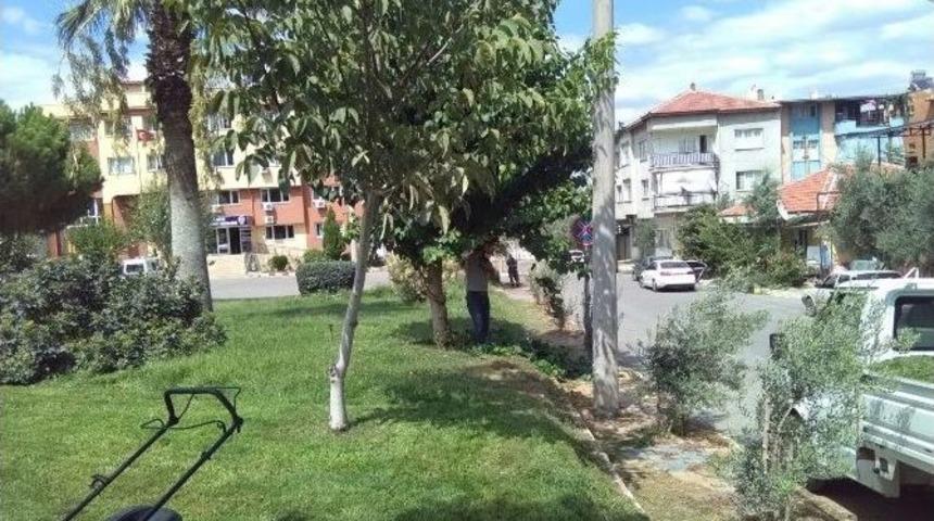 Alpaslan T&uuml;rkeş Meydanına Bakım