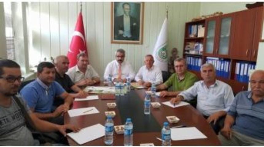 17. İpsala &Ccedil;eltik Festivali Ve Tarım Fuarı&rsquo;nın Tarihi Belli Oldu