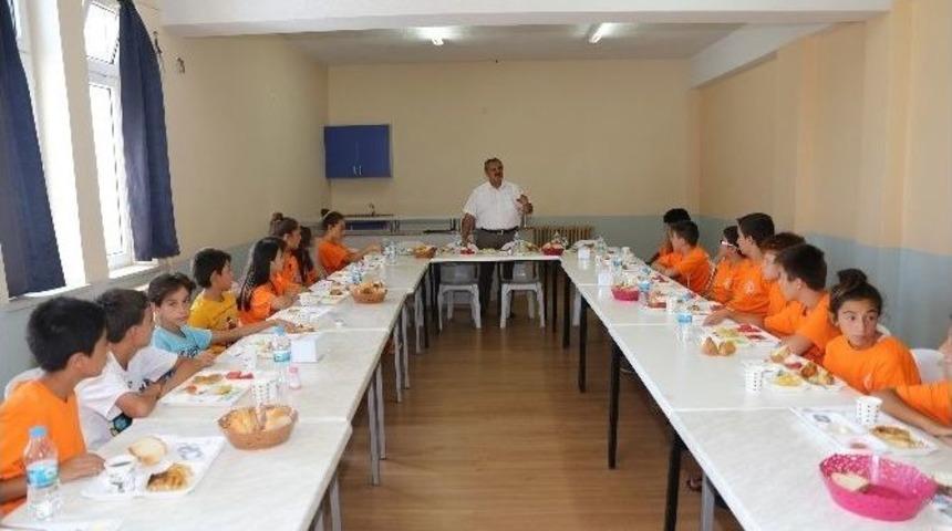 Tarım Kampı Devam Ediyor