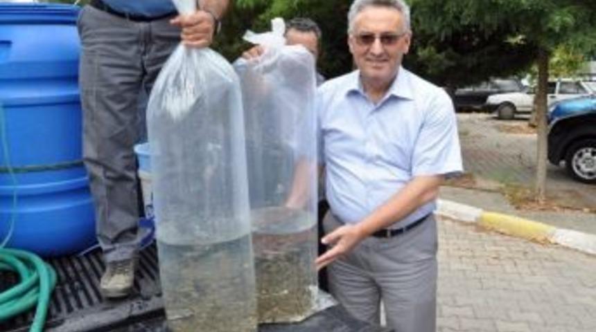 Manisa Tarım İl M&uuml;d&uuml;r&uuml; &Ccedil;ebi G&ouml;revden Uzaklaştırıldı