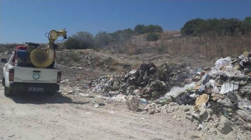 Demirci&rsquo;de &lsquo;afrika Hastalığı&rsquo;na Karşı İla&ccedil;lama