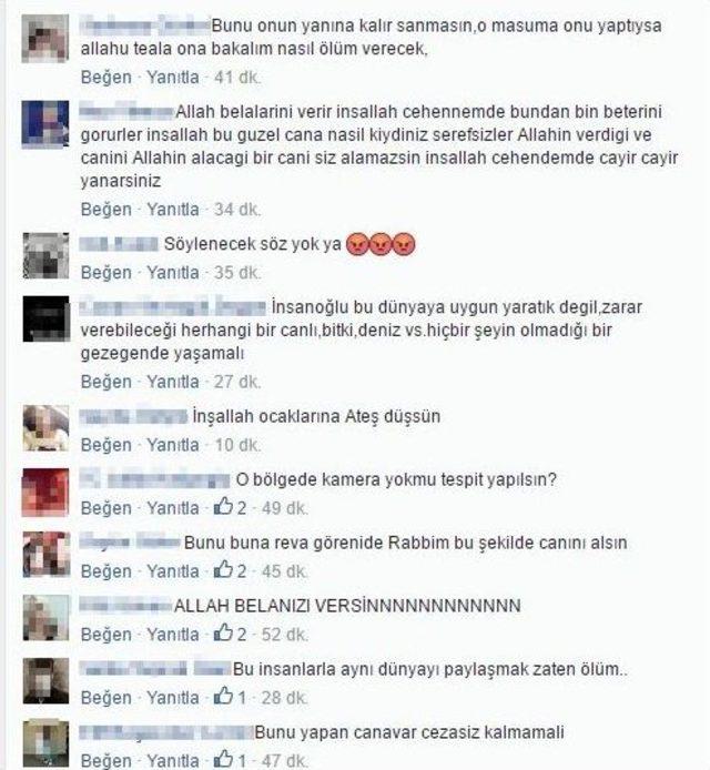 Patileri Bağlanarak Yakılmış Köpek Cesedi Bulundu