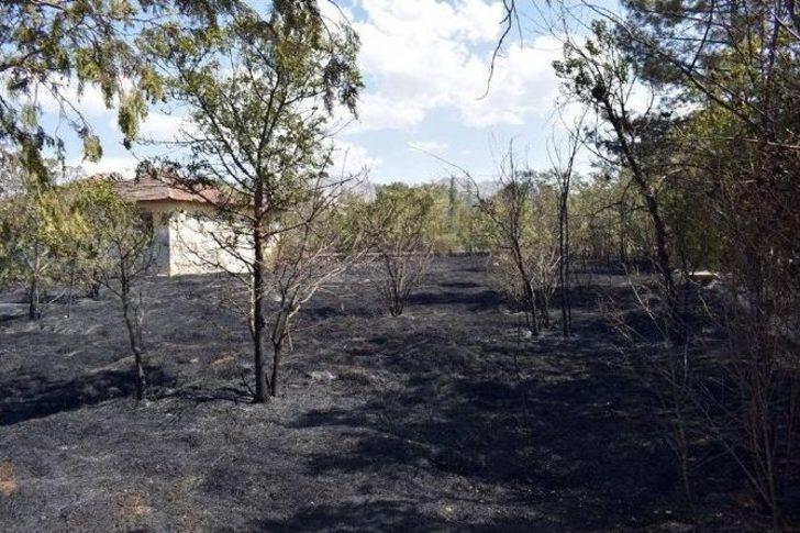 Malatya’da 100 Dönümlük Alan Kül Oldu G1