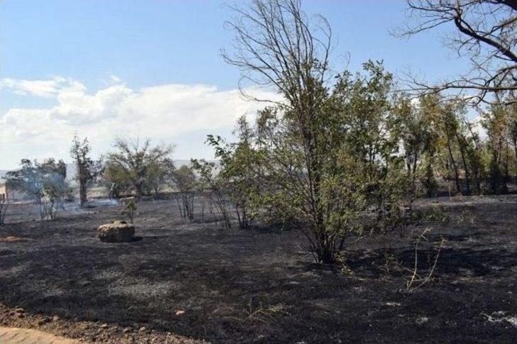 Malatya’da 100 Dönümlük Alan Kül Oldu G2