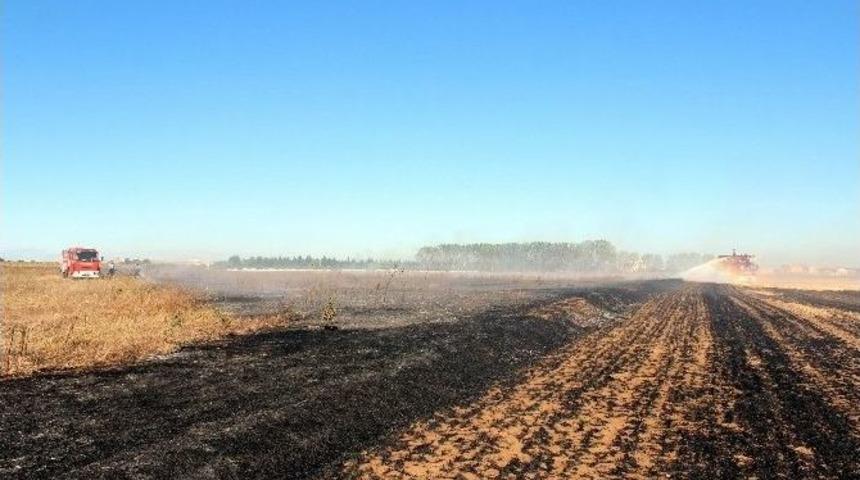 Anız Yangını Korkuttu