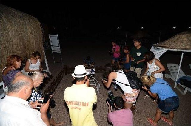 Marmaris’te Yavru Caretta Carettalar Denizle Buluştu