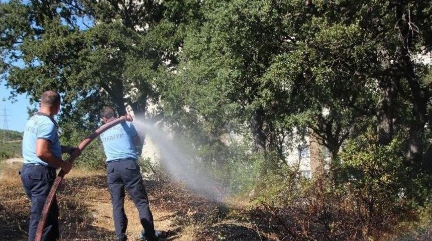 Bilecik&rsquo;teki Otluk Arazide &Ccedil;ıkan Yangında 2 D&ouml;n&uuml;ml&uuml;k Alan K&uuml;l Oldu