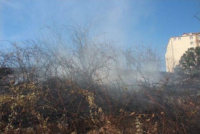 Bilecik’teki Otluk Arazide Çıkan Yangında 2 Dönümlük Alan Kül Oldu