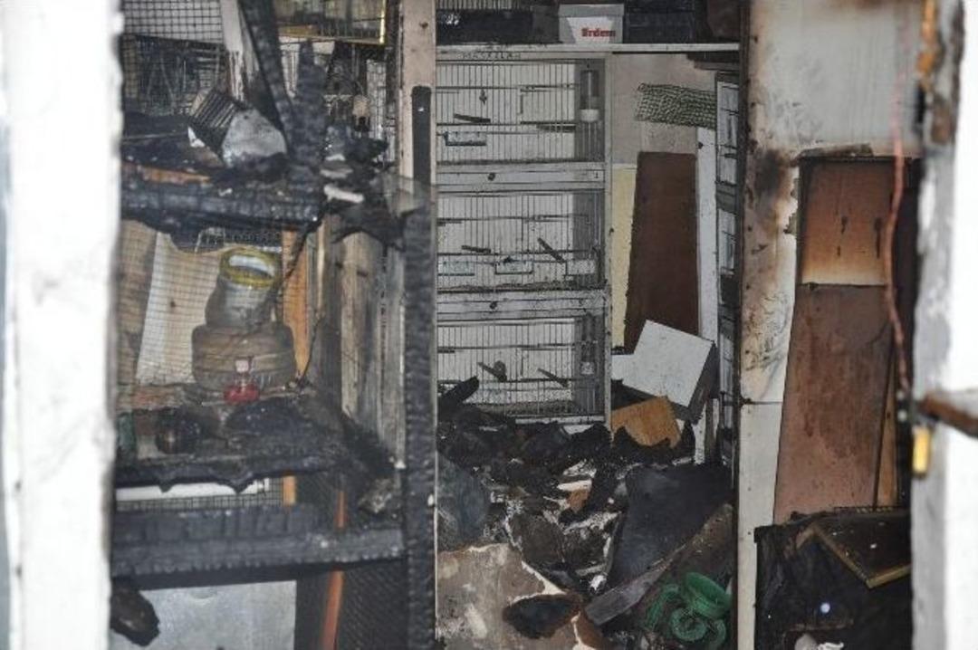 Kuşlar Ve Tavuklar Yanarak Telef Oldu