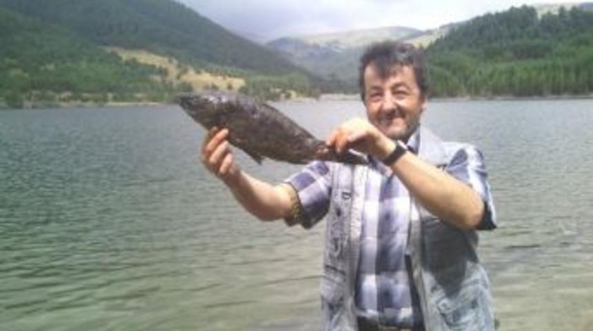 Tosya&rsquo;daki G&ouml;lette Toplu Balık &Ouml;l&uuml;mleri