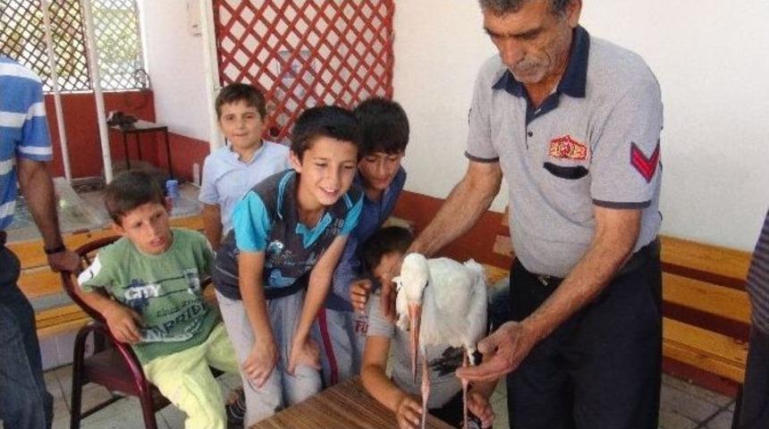 İtfaiye Ekibi Yaralı Leyleği Koruma Altına Aldı
