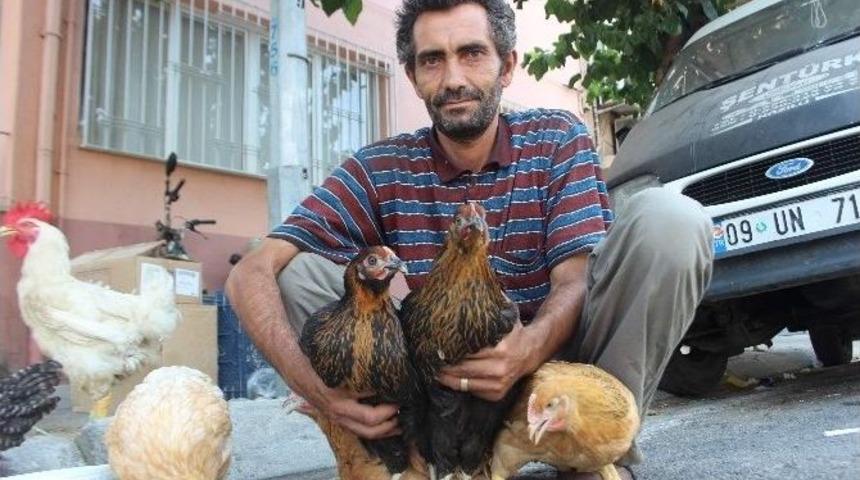 Kanatlılar Sağlık İ&ccedil;in Pazara İndi