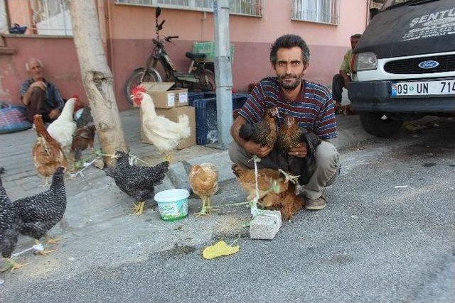 Kanatlılar Sağlık İçin Pazara İndi