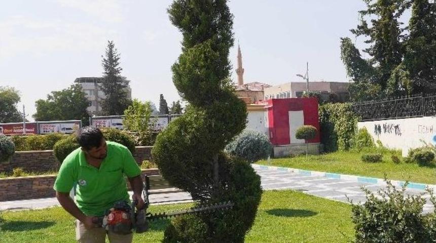 Haliliye&rsquo;de Ağa&ccedil;lar Yeni Şekillere B&uuml;r&uuml;nd&uuml;