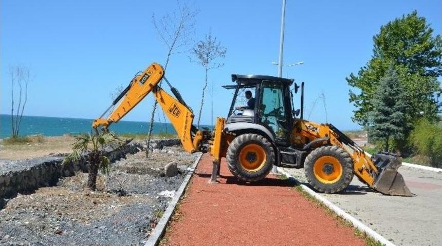 Alaplı Sahili Ağa&ccedil;landırılıyor