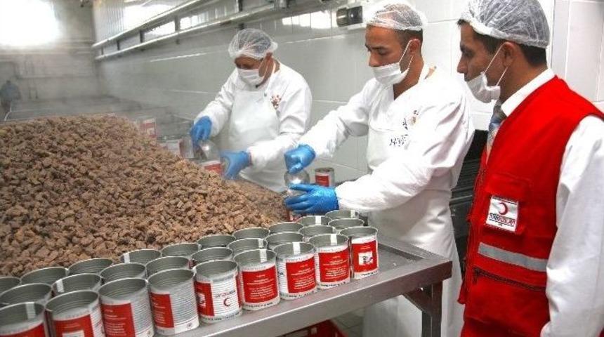 Kızılay İle Kurban Bereketi Yıl Boyu S&uuml;recek