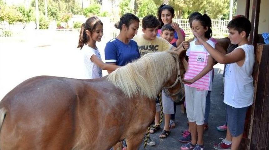 İlk Kez Ata Binmenin Heyecanını Yaşadılar