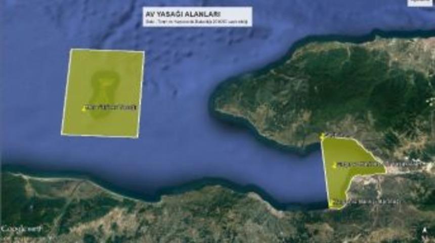 Gemlik K&ouml;rfezi&rsquo;nde 4 Yıllık Av Yasağı