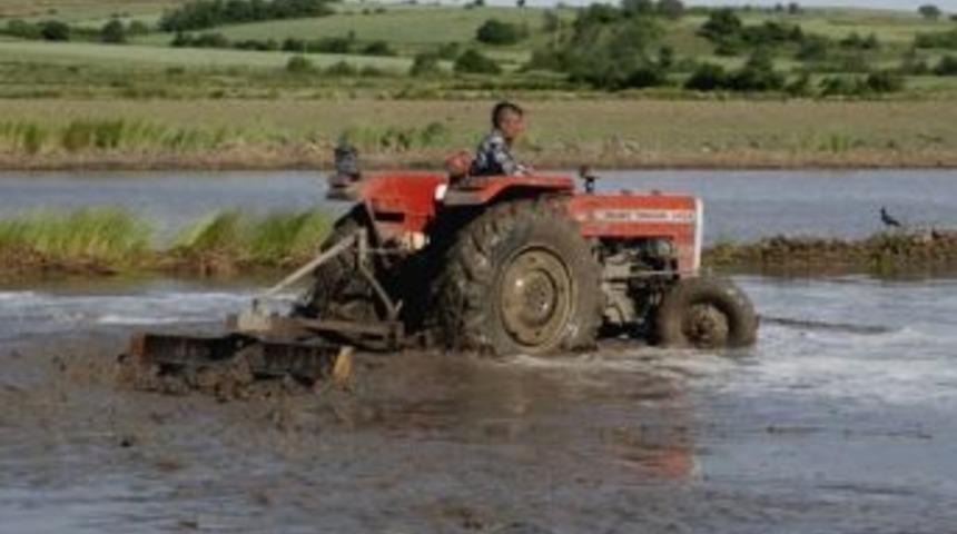 Tekirdağ &Ccedil;eltik &Uuml;retiminde T&uuml;rkiye 7&rsquo;ncisi