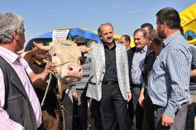 Mamak Belediyesi, Kurban Bayramı Hazırlıklarına Başladı