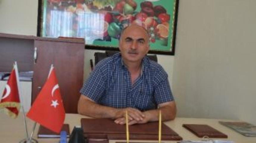 Fındıkta Tarihi Fiyat Beklentisi