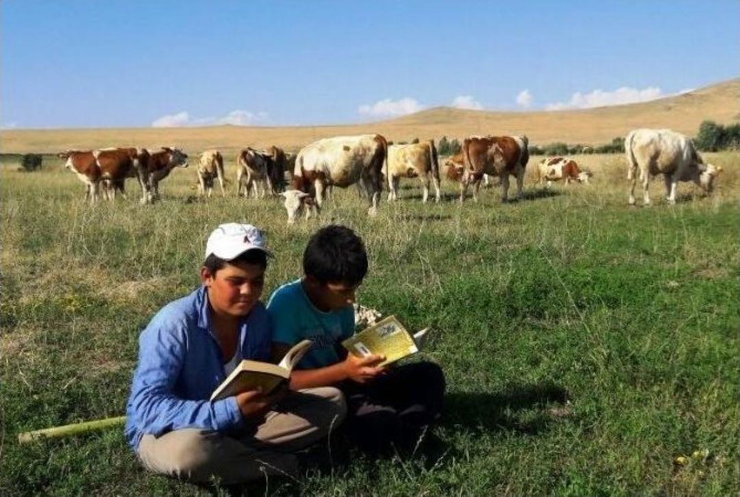 Gezici K&uuml;t&uuml;phane Yollarda