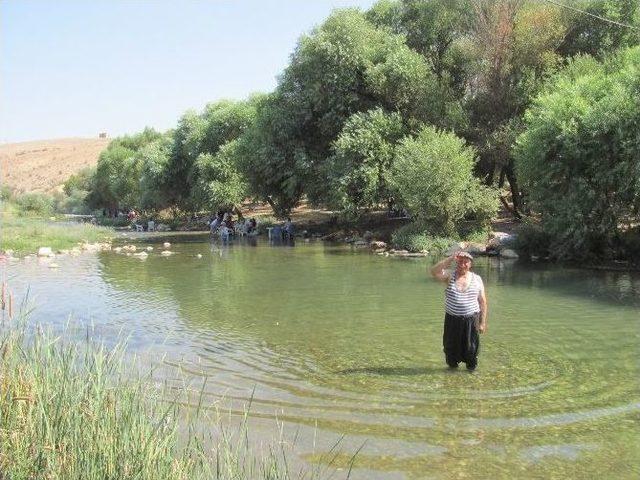 Aşırı Sıcaklarda Kıyafetleri İle Çaya Girerek Serinliyorlar