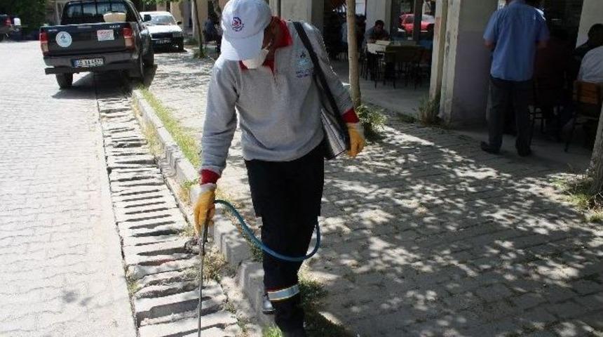 Pamukkale&rsquo;de Haşere M&uuml;cadelesi
