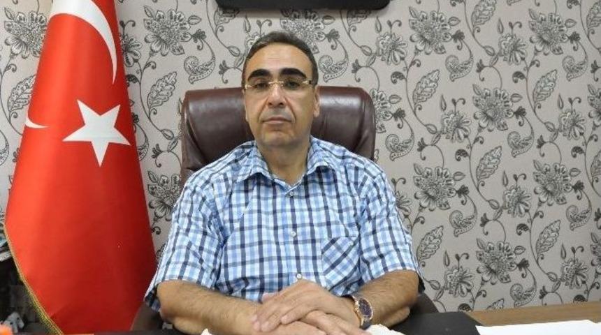 B&uuml;y&uuml;kşehir Belediyesi Sokak Hayvanlarına Sahip &Ccedil;ıkıyor