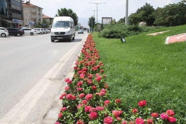 Binlerce Çiçek Toprakla Buluştu