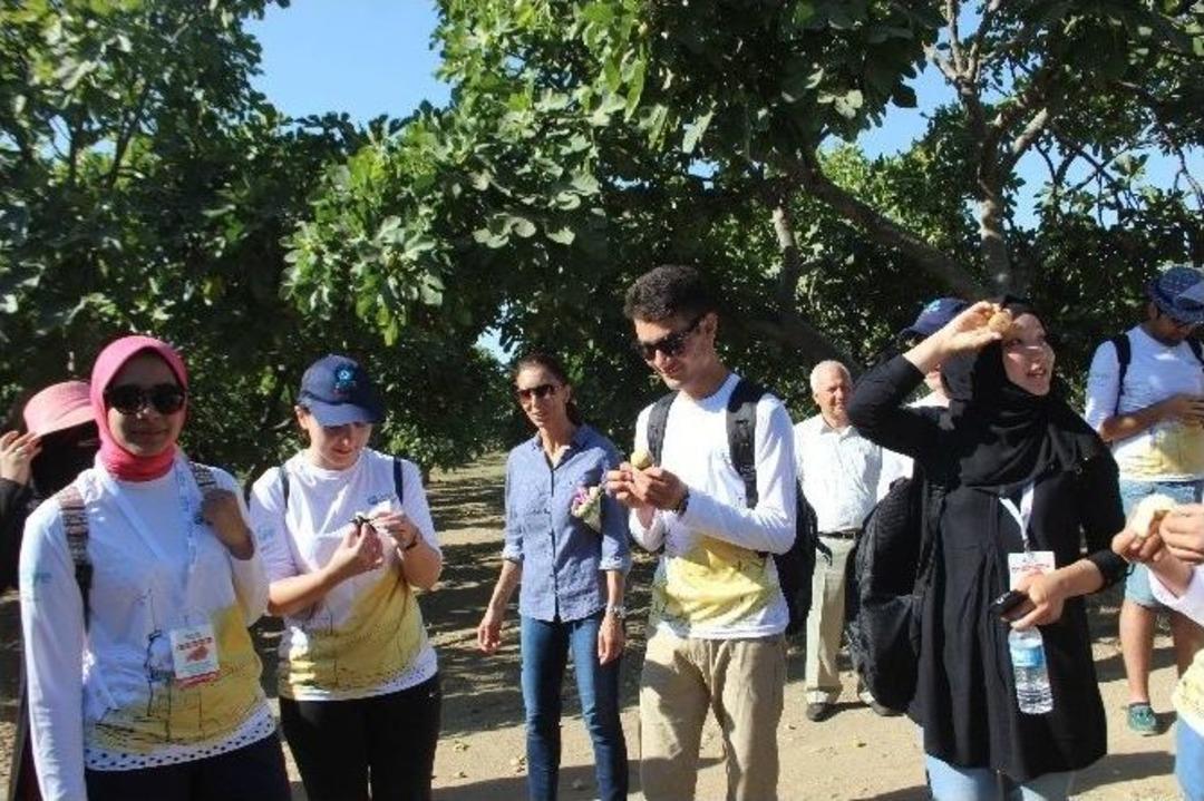 D&uuml;nya Gen&ccedil;leri Aydın&rsquo;da İncir Tadında Bir G&uuml;n Yaşadı