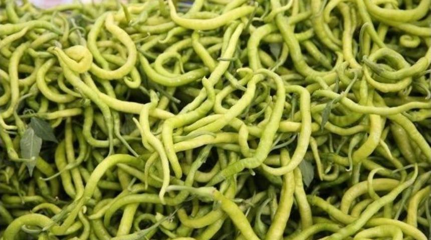 &Uuml;r&uuml;nl&uuml;&rsquo;n&uuml;n &Uuml;nl&uuml; Biberleri G&ouml;r&uuml;c&uuml;ye &Ccedil;ıkıyor