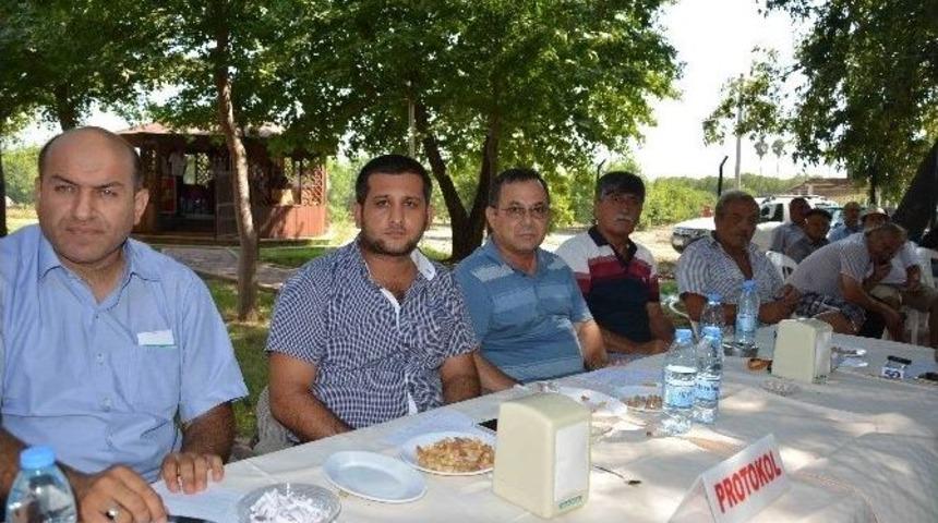Muğla&rsquo;da Limon İhalesi