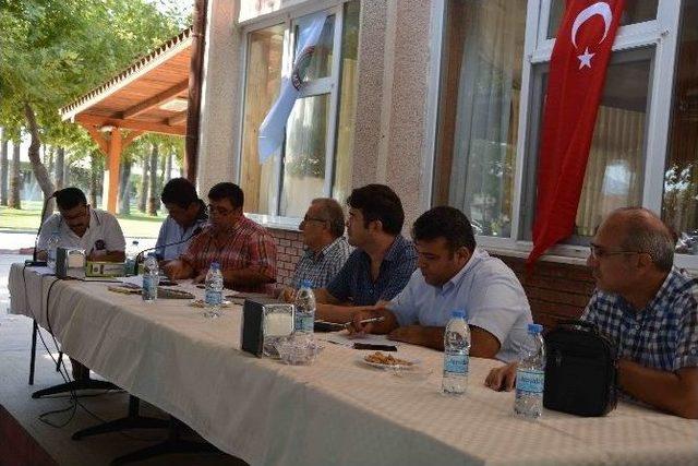 Muğla’da Limon İhalesi