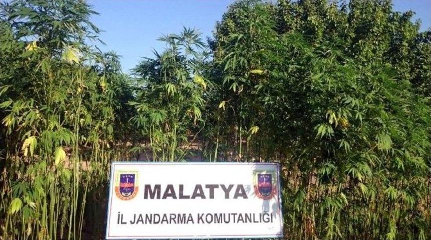 Jandarmadan Fet&ouml;/pyd Operasyonu