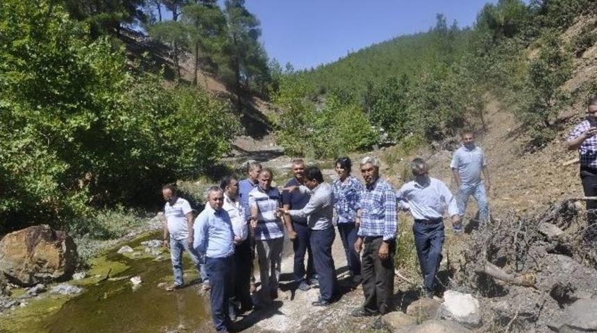 B&uuml;y&uuml;kşehir &Uuml;reticinin Yanında