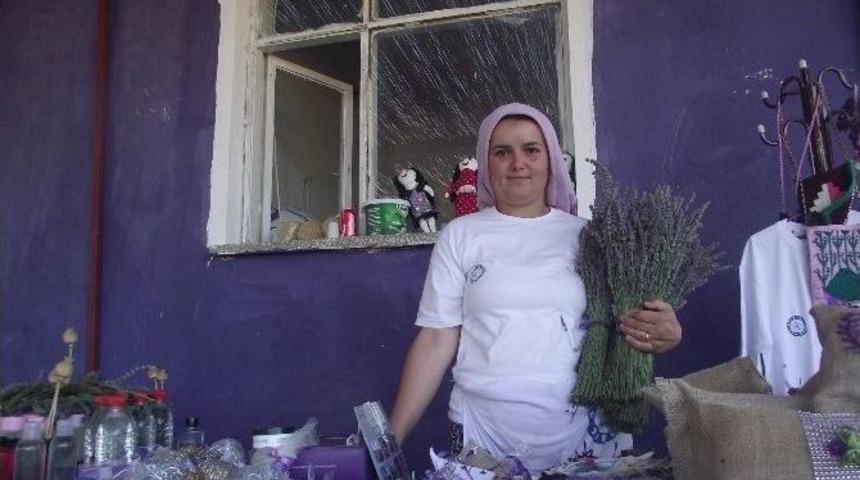 Lavanta, Bir Köyün Kaderini Değiştirdi