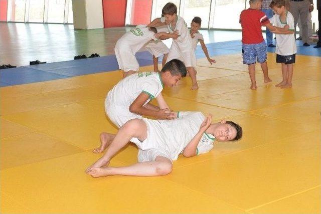 Judo Yaz Okulunda Sertifika Sevinci