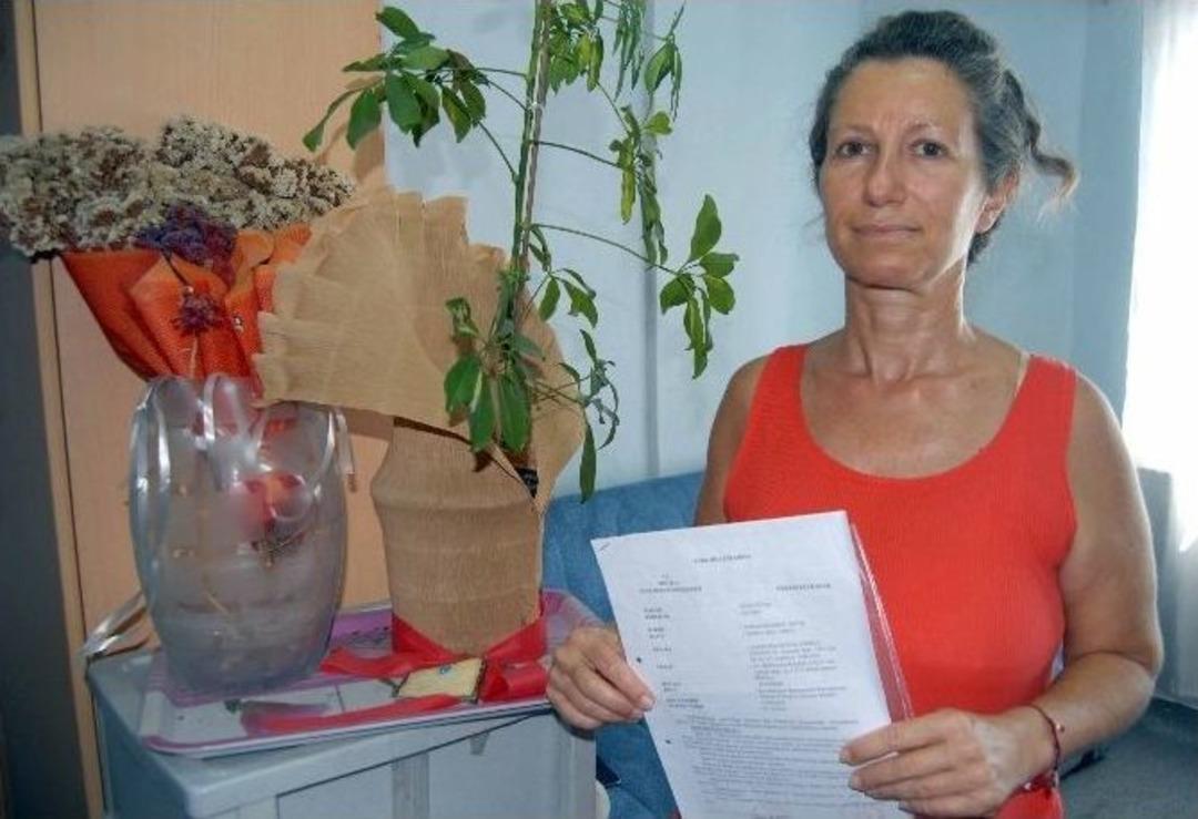 Sokak Hayvanları Mahkemelik Etti