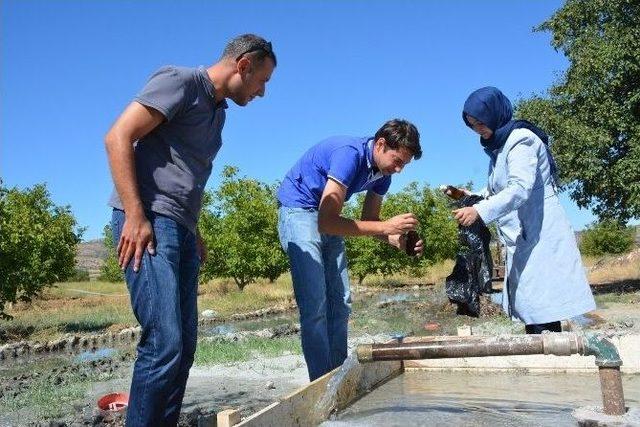 Körez’in Su Sorunu Yeni Sondajlarla Giderildi