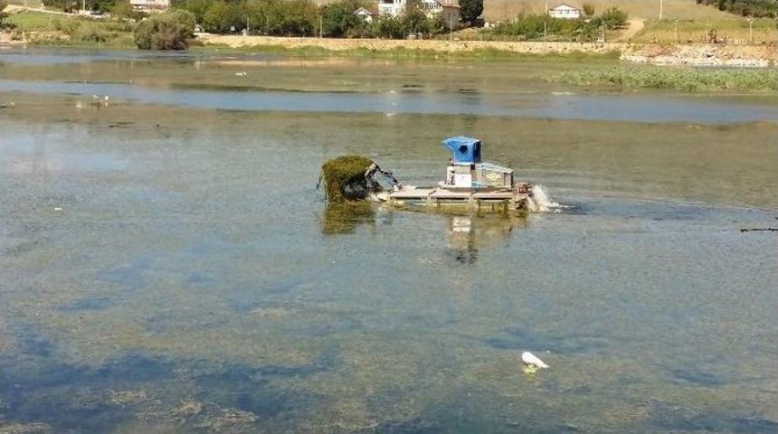 G&ouml;lkay&rsquo;ın G&ouml;l&uuml;nde Detaylı Temizlik