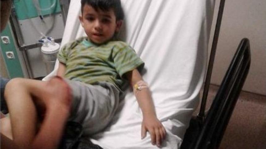 5 Yaşındaki &Ccedil;ocuğu Fındık Tarlasında Yılan Soktu