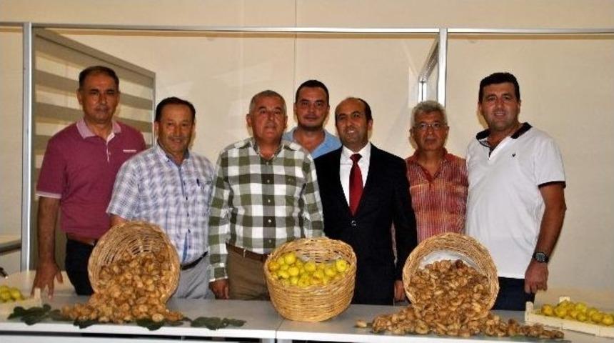 Aydın Ticaret Borsası Sezonun İlk İncirini 125 Tl&rsquo;ye Aldı
