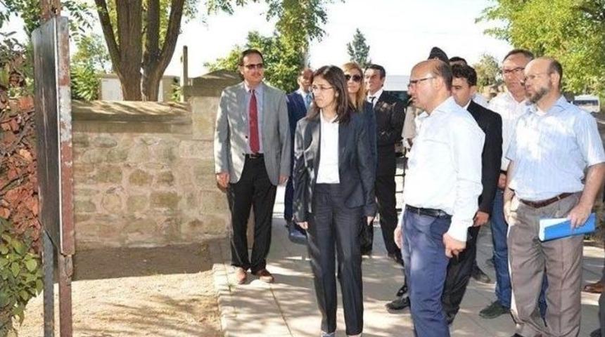 Vali Yılmaz, Altınova&rsquo;yı Gezdi