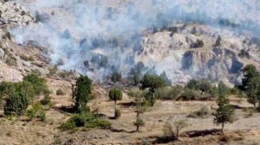 Denizli&rsquo;de Orman Yangını
