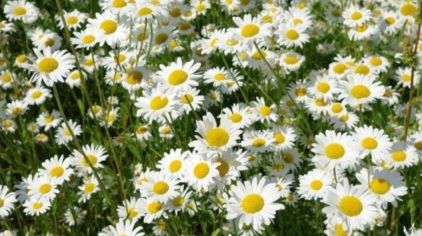 G&uuml;neşlenirken Cildinizi Lekelere Karşı Koruyun