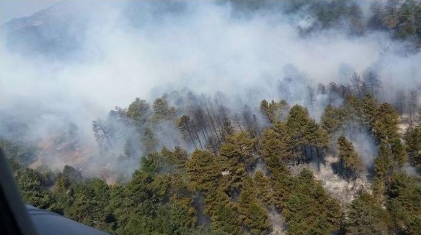 &Ccedil;anakkale&rsquo;de Orman Yangını