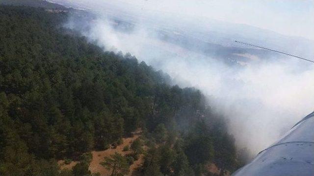 Çanakkale’de Orman Yangını